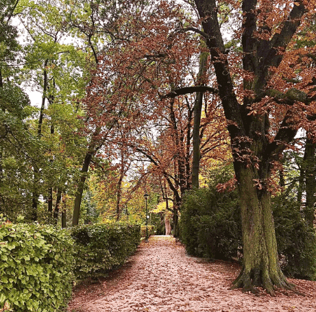 cannor.cz, cannor, konopna kosmetika, CBD