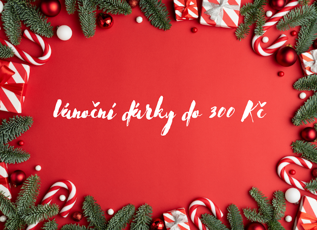 Tipy na vánoční dárky do 300 Kč