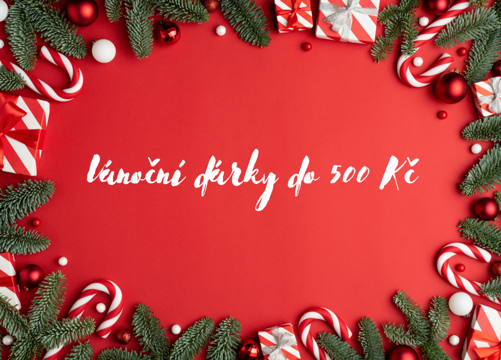 Tipy na vánoční dárky do 500 Kč